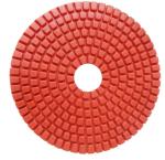 Диск шлифовальный EPA EN-PD-100-3000 Черепашка