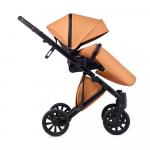Коляска Anex 2в1 e/type caramel