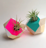 Миниатюрные кашпо