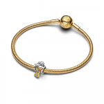 Home sterling silver and 14k gold-plated charm