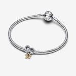 Heart and star sterling silver and 14k gold-plated charm