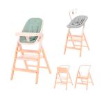 Стульчик для кормления 3в1 Carrello Ergo 16701 Elora Green