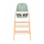Стульчик для кормления 3в1 Carrello Ergo 16701 Elora Green