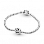 Серебряный шарм в форме сердца в окружении