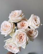 White Ohara