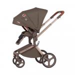 Коляска 2в1 Anex FLO CESAR #1