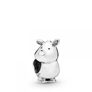 Rhinoceros silver charm