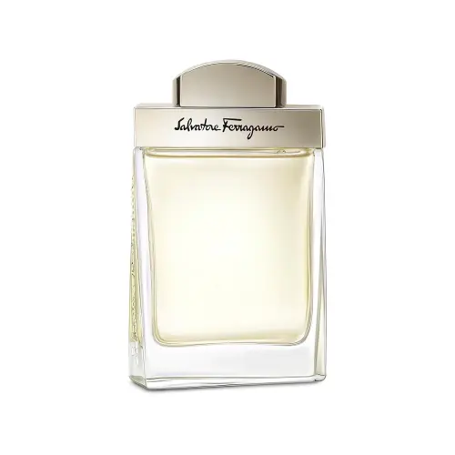 SALVATORE FERRAGAMO PH EDT 100 ML - туалетная вода (M)