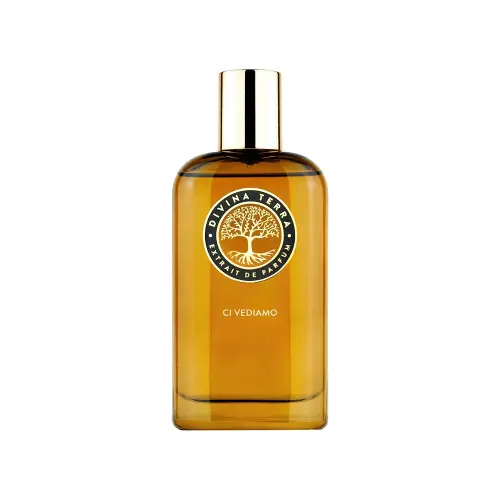 DiVina Terra EXTRAIT DE PARFUM 100ml CI VEDIAMO (U)