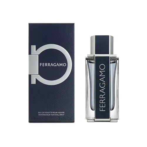 SALVATORE FERRAGAMO  EDT 100 ML - туалетная вода (M)