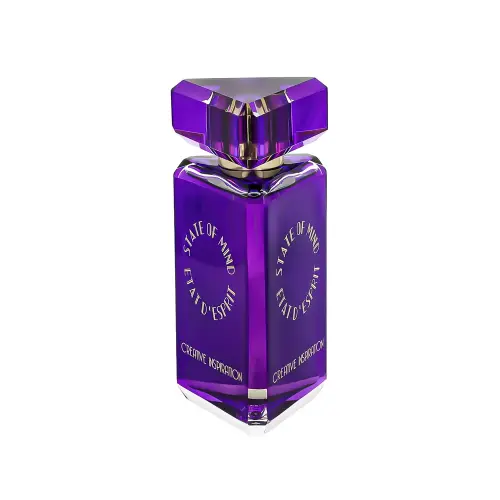 State Of Mind EDP CREATIVE INSPIRATION 100 ML