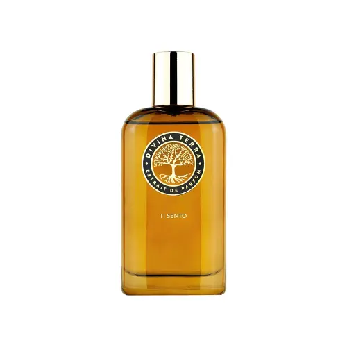 DiVina Terra EXTRAIT DE PARFUM 100ml TI SENTO (U)