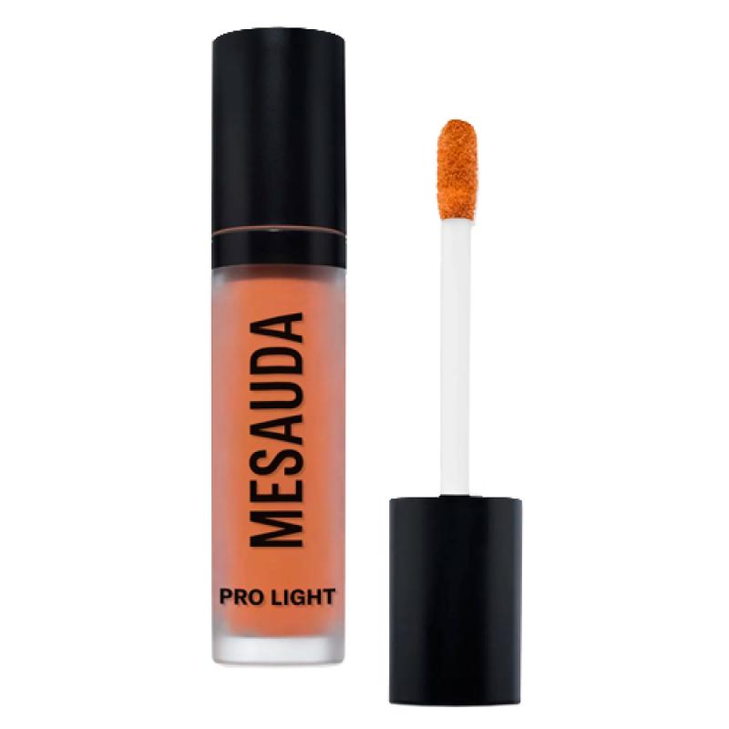 MESAUDA PRO LIGHT CONCEALER P01 Консилер