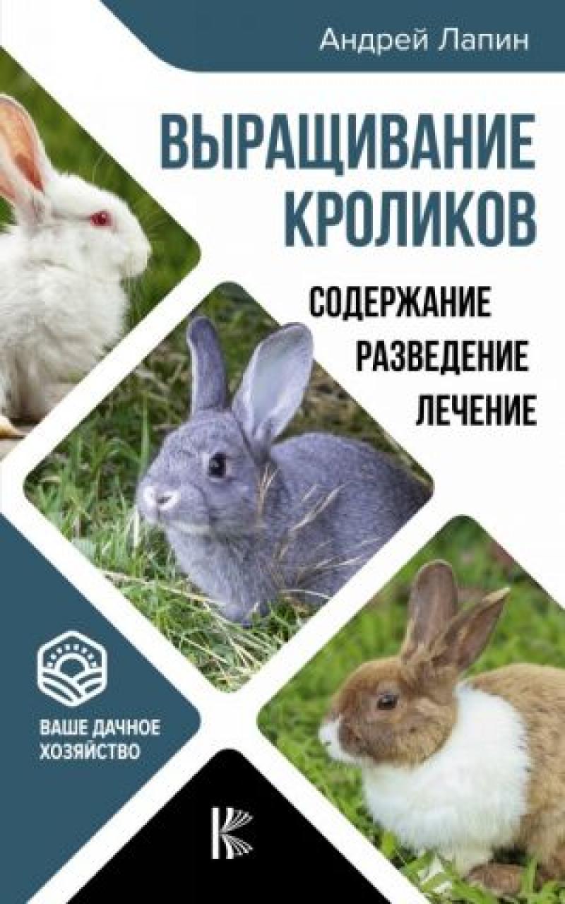 Как выращивать кроликов в домашних условиях? | Статьи ООО Укрвет