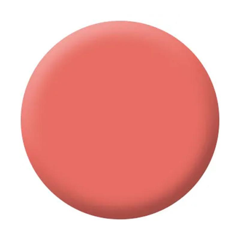 Make up Factory Румяна компактные шелковистые Blusher т.27 кораловый