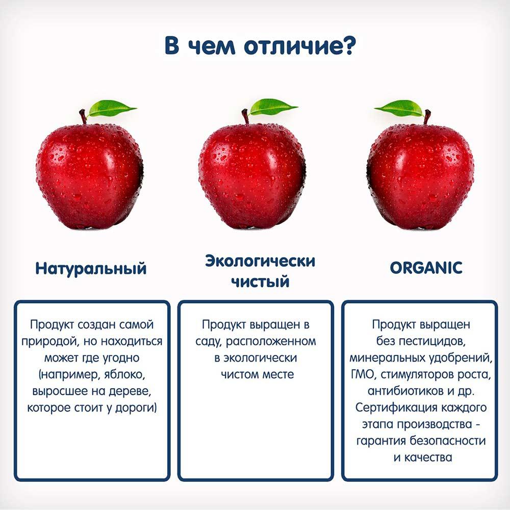 Пюре Fleur Alpine из манго 6м+ 90 гр