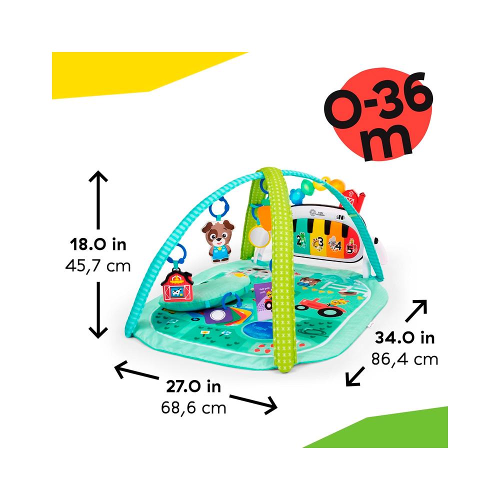 Развивающий коврик 4в1 Baby Einstein Musical Meadow