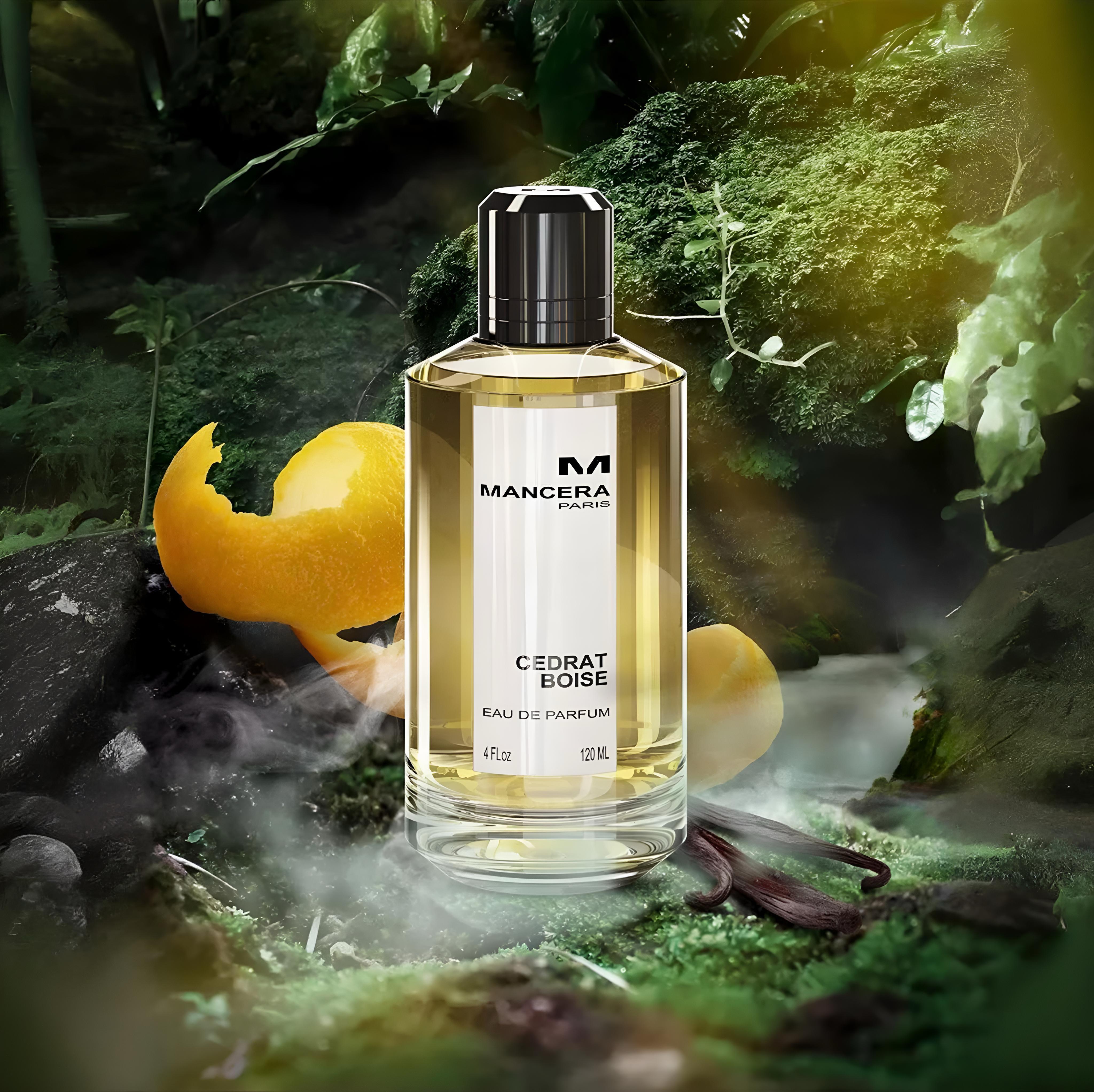 Mancera Cedrat boise Basic 10 ml Mancera Cedrat boise Basic 10 ml