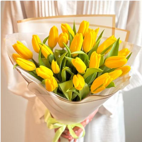 Желтые Тюльпаны