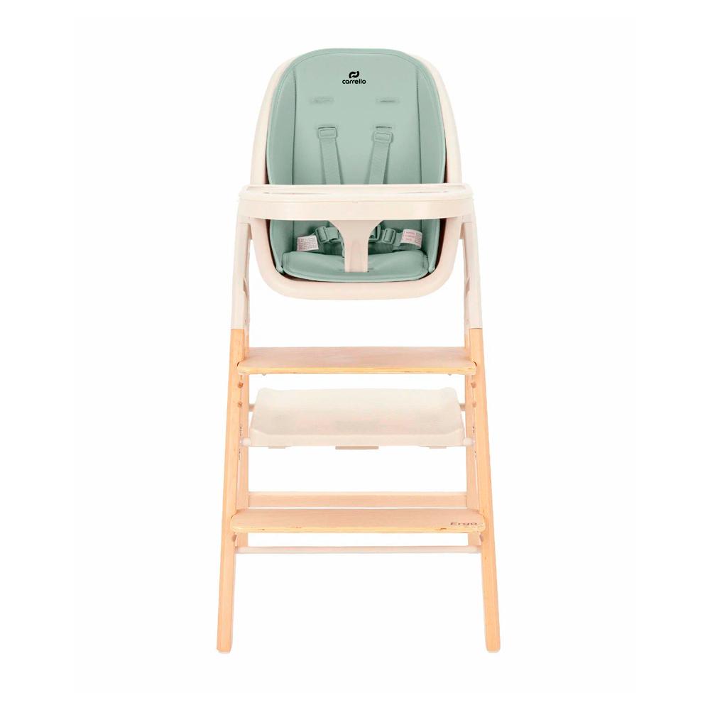 Стульчик для кормления 3в1 Carrello Ergo 16701 Elora Green