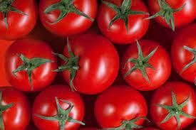 Tomato