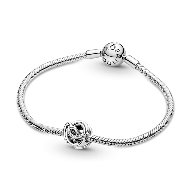 Серебряный шарм в форме сердца в окружении