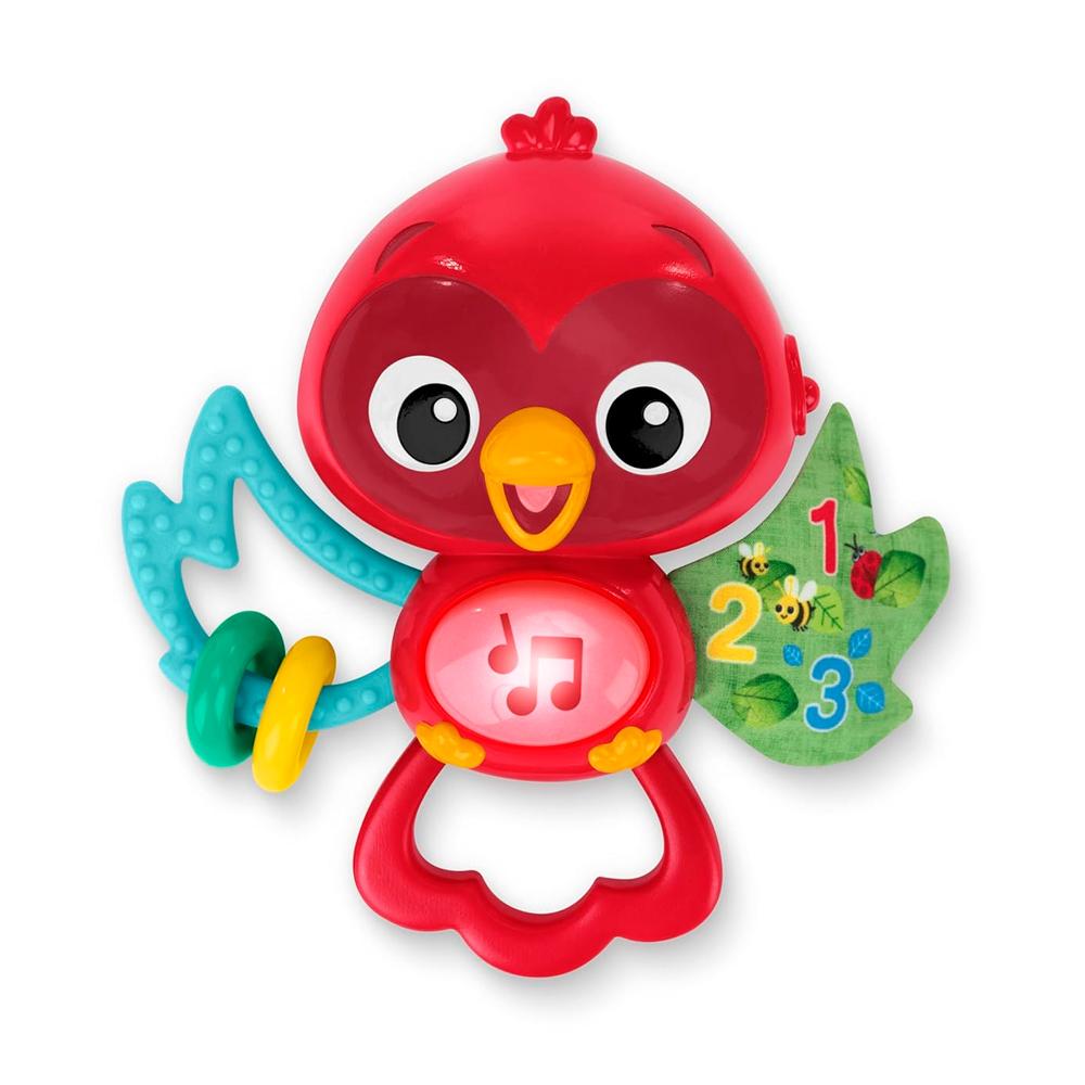 Игрушка-погремушка музыкальная Baby Einstein Roxy's bright flight